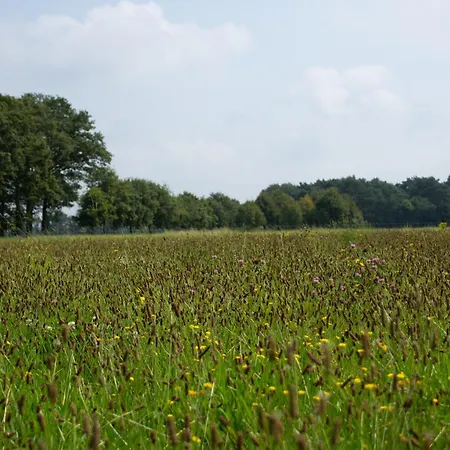 Glampingtent 6 Persoons Lindershoeve Campo de lujo *