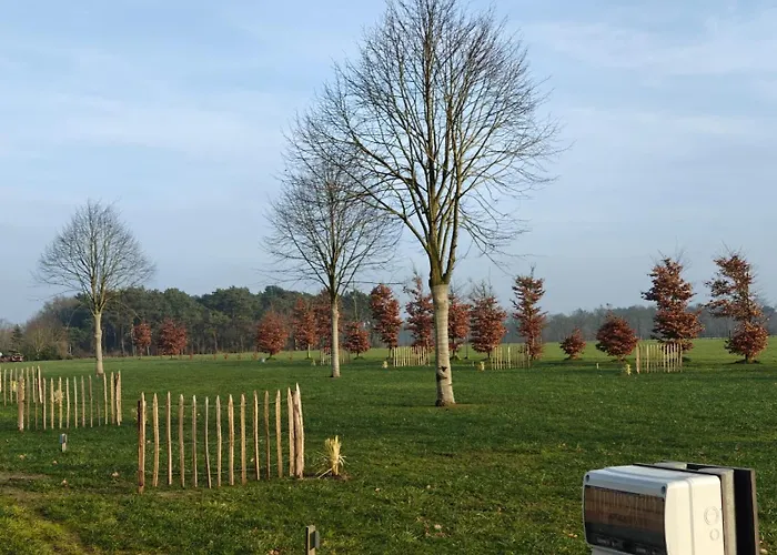 Glampingtent 6 Persoons Lindershoeve * Bergeijk