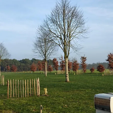 Glampingtent 6 Persoons Lindershoeve * Bergeijk