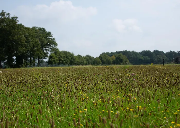 Glampingtent 6 Persoons Lindershoeve Роскошный шатер *